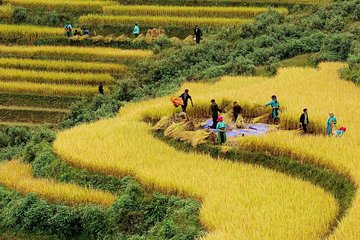 Trekking through Hoang Su Phi rice fields 4 days 3 nights