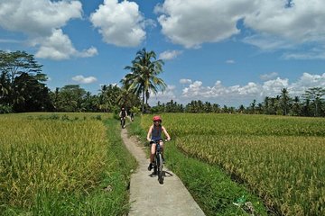 Ubud Eco Culture Cycling Exploration