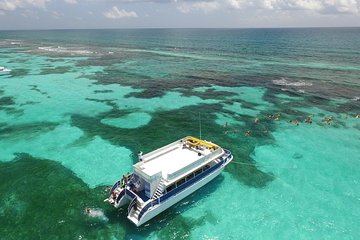 Island Contoy Adventour & Buffete & Isla Mujeres only from Cancun