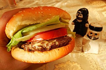 The Camel Burger and the Story of Dubai: Private Tour