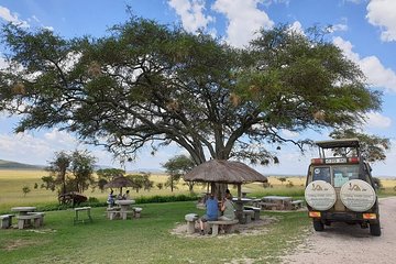 3 Days Tanzania Lodge Safari
