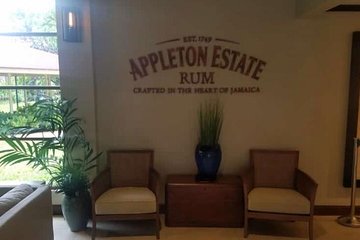 YS Falls and Appleton Estate Private Rum Tour 