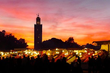 Senior Citizen (50+) 1 Day Marrakech City Tour 