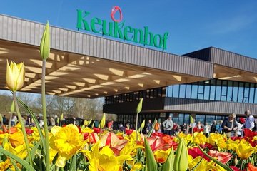 Private Day-trip to Keukenhof Gardens: Millions of Flowers in Bloom