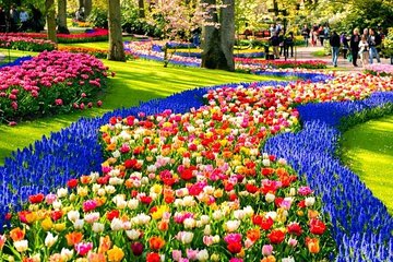 Keukenhof Skip-the-line Tickets Countryside & Farm, private Tour