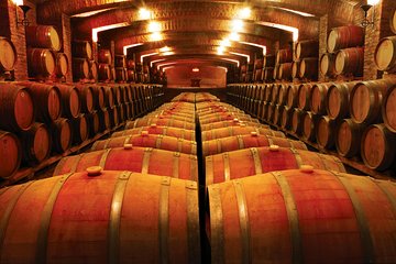 Pre or Post Valparaiso Cruise with Santiago City Tour and optional Vineyard