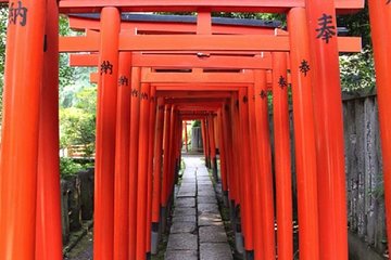 Tokyo Private Tour to Learn History and Shinto