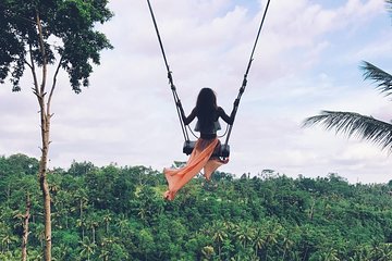 Private Bali swing, waterfall instagramable tour