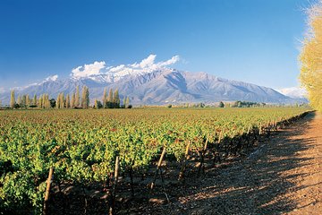 Private Andes Day Trip Maipo Valley with Concha Y Toro Wine Tour