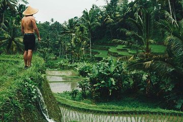 Ubud Tour - Best of Ubud - All Inclusive