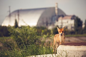 2-days Group Tour To The Chernobyl Exclusion Zone