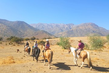 Horse Riding Tour in the Andes Santiago Chile