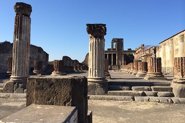 Pompeii-Vesuvius-Wine tour from Sorrento, licensed guide included