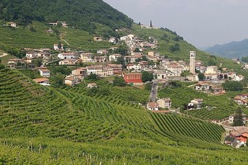 Prosecco region cellar visit, wine tasting, Palladian Villa, medieval village