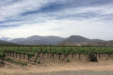 Aconcagua Valley