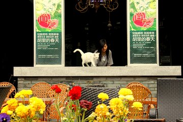 Half Day Private Chengdu City Highlights Tour By Metro