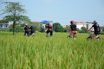  Bicycle Tours Hanoi: Full Day Bicycle Tours City & Countryside