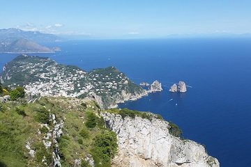 Capri ,Blue Grotto, Sorrento and Pompeii from Sorrento Main Port