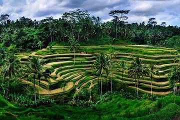 Fantastic Ubud Tour with Jungle Swing