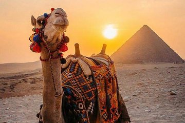 Giza Pyramids Tour