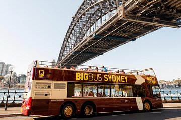 Big Bus Sydney and Bondi Hop-on Hop-off Tour