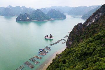 Luxury 5* Halong Bay 1 Day 8 hours cruising and Limousine