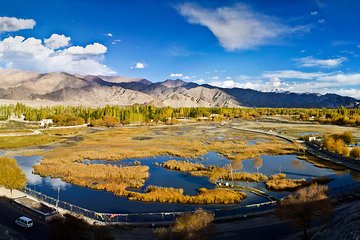 Heritage Ladakh Tour 7 Days