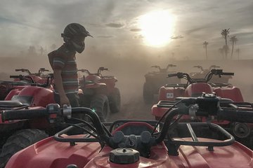 Marrakech Desert and Palm Grove Quad Bike Tour