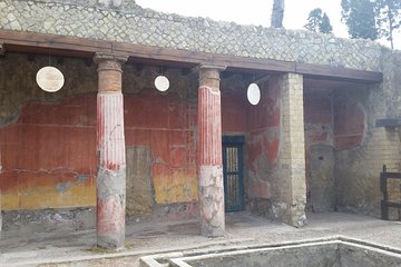 Tour in the ruins of Herculaneum with an archaeologist