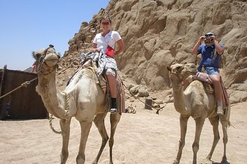 Camel ride in Sharm elsheikh desert