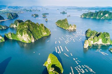 Halong 6 hours boat tour from Hanoi All Inclusive