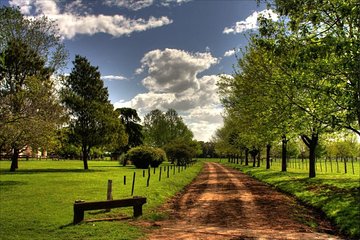 Private Visit Village in San Antonio de Areco and a Estancia