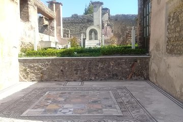 Pompeii-Herculaneum and The Archaeological Museum 