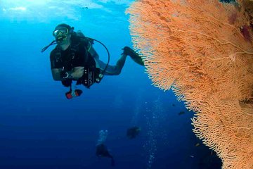 Professional 2 Stops Scuba Diving Full Day Boat Trip - Hurghada