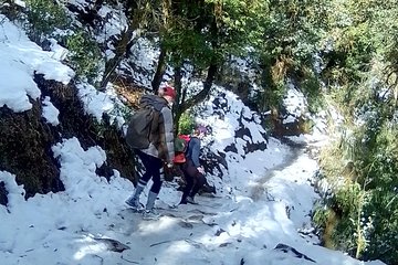 Annapurna: 5 Days Poon Hill Circuit Trek from Pokhara