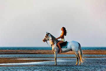 Horse Riding Tour 2 Hours Sea And Desert with Transfer - Hurghada