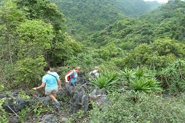 Trekking Catba And Cruising Lan Ha Bay 3 Days 2 Nights