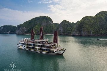 Orchid Cruises 2Days/1Night 5 Star All included