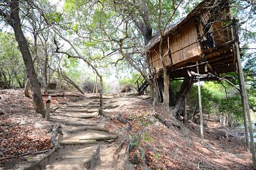 3 Day Lodge/Treehouse Kruger National Park Safari