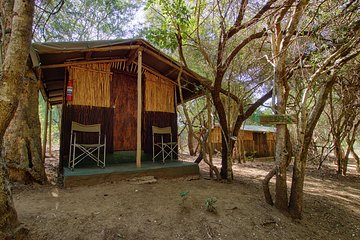 3 Day Budget Tent Kruger National Park Safari