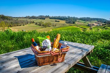 Château LA CROIZILLE Grand Cru Classé: Picnic & Visit