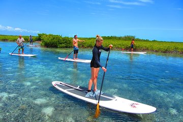 SUP Paddleboard Lesson and Tour - Port Canaveral & Cocoa Beach