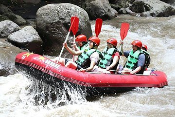 Ubud - Ayung River Rafting Adventure Tours