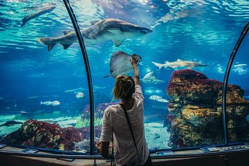 Grand Aquarium Museum Hurghada With Transfer - Hughada