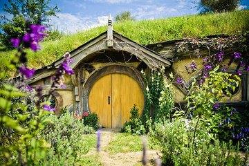 Auckland to Rotorua via Hobbiton Movie Set Tour - One Way 