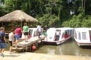 Nature History Tour. Tortuguero Canal & Cahuita National Park Shore Excursion