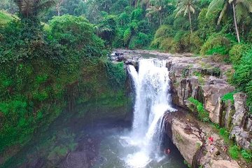 Ubud Waterfall Tour