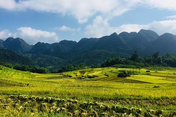 Explore Mai Chau - Pu Luong - Ninh Binh 4 Days / 3 Nights