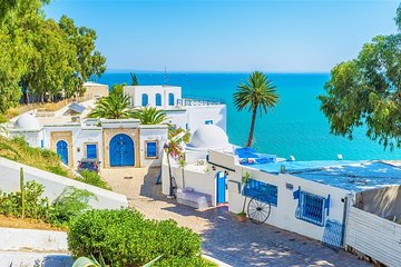 Private day tour Sidi Bousaid, Carthage and Hammamet departing from sousse