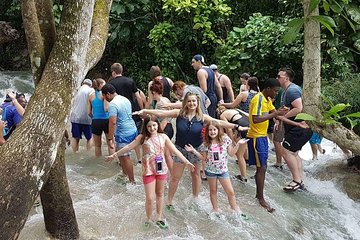 Dunn's River Falls and Fern Gully Highlight Adventure Tour from Runaway Bay